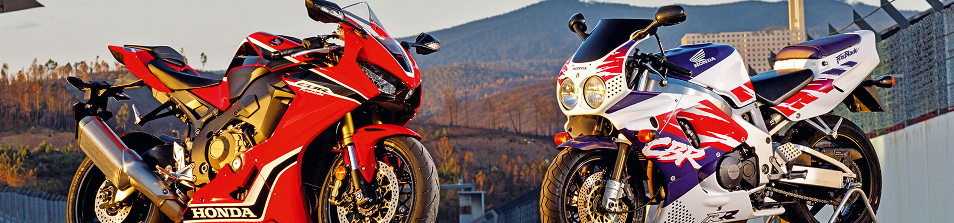 Kradblatt &#8211; Staging