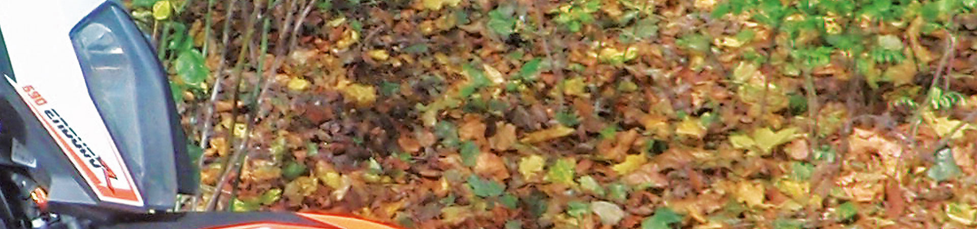 Kradblatt &#8211; Staging