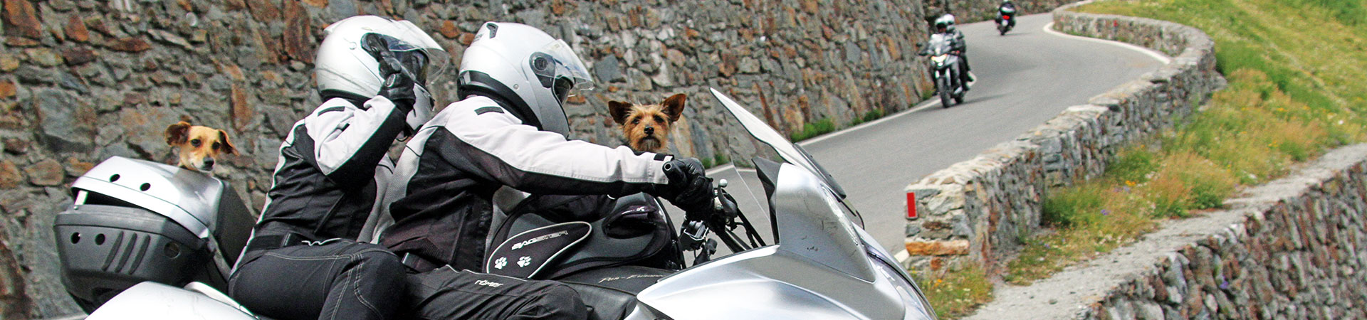 Kradblatt &#8211; Staging