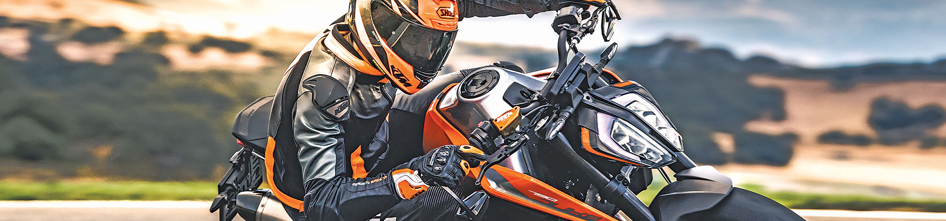 Kradblatt &#8211; Staging