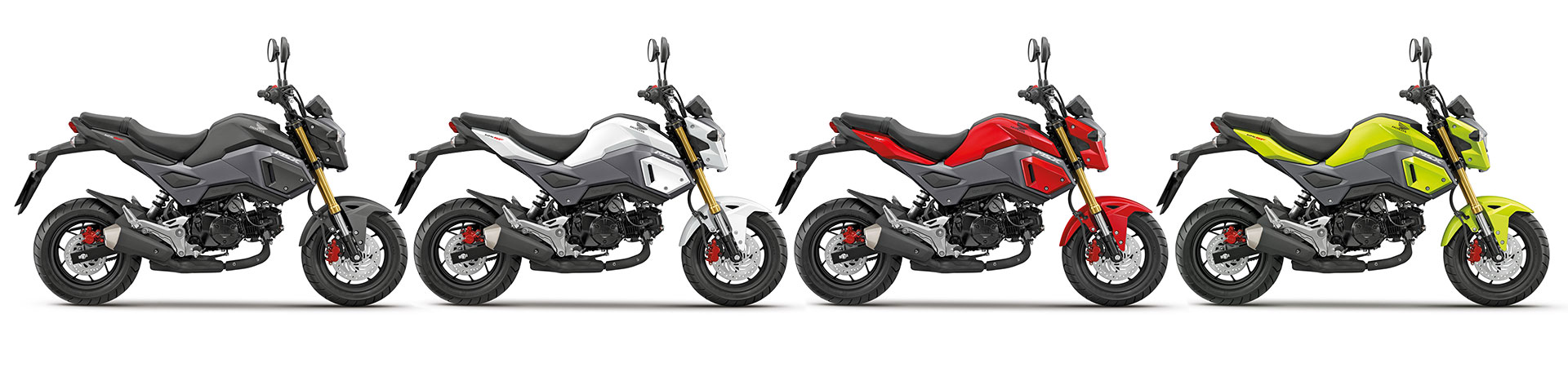 Kradblatt &#8211; Staging