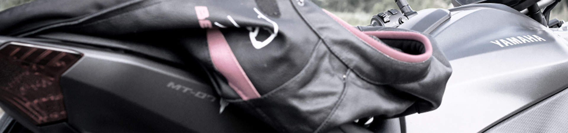 Kradblatt &#8211; Staging