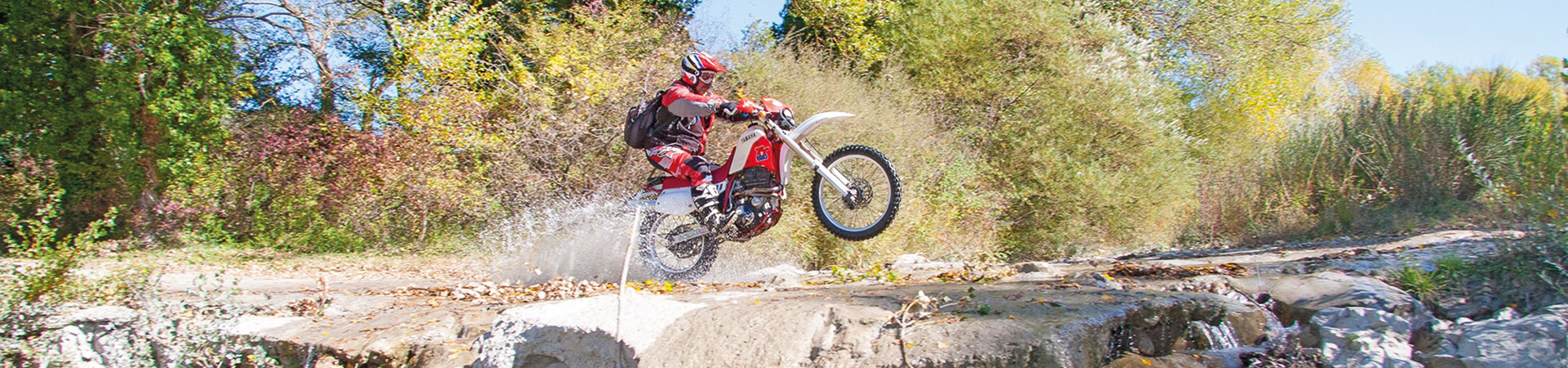 Kradblatt &#8211; Staging