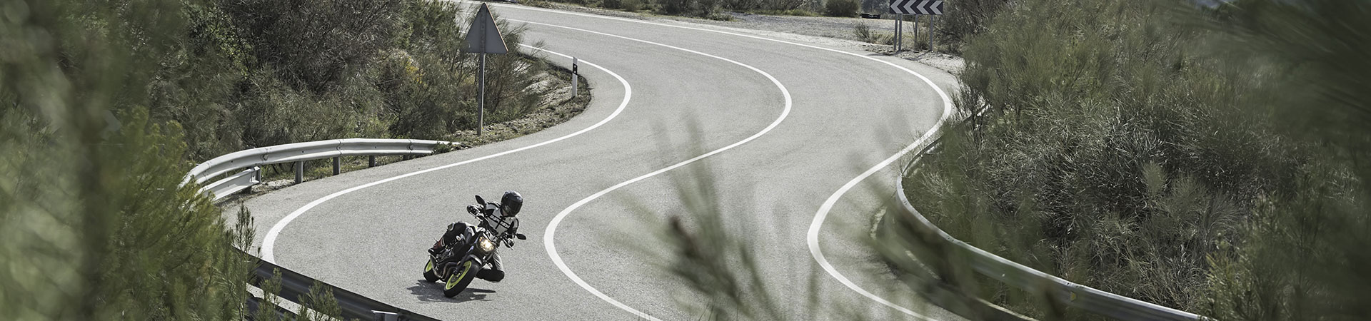 Kradblatt &#8211; Staging