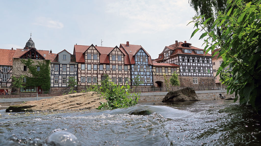 Kradblatt – Staging