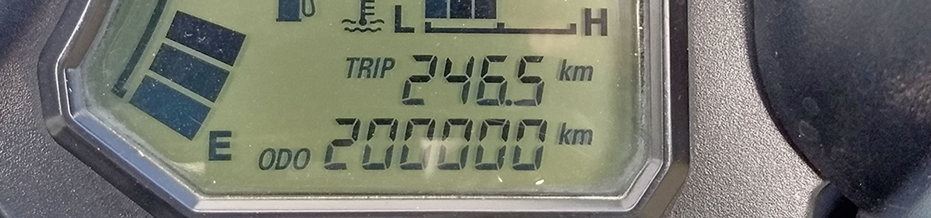 Kradblatt &#8211; Staging