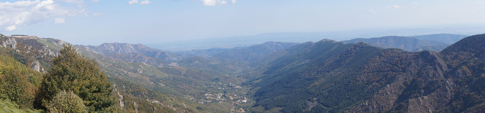 Kradblatt – Staging