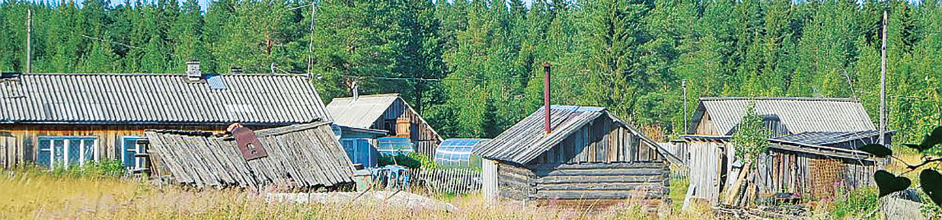 Kradblatt &#8211; Staging