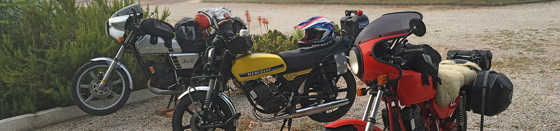 Kradblatt &#8211; Staging