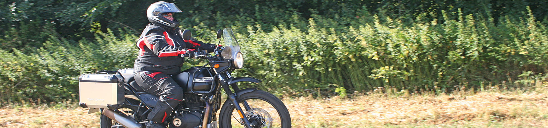 Kradblatt – Staging