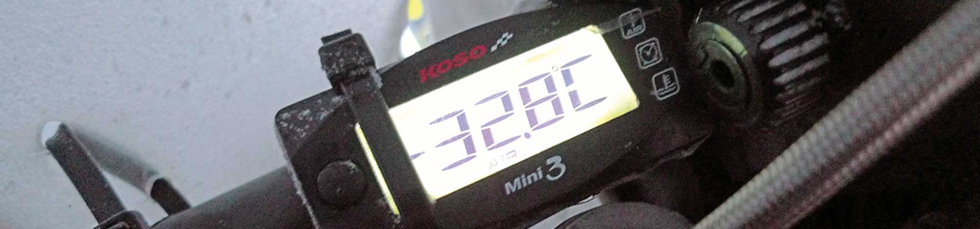 Kradblatt &#8211; Staging