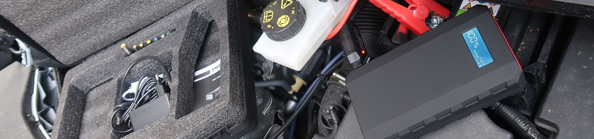 Kradblatt &#8211; Staging