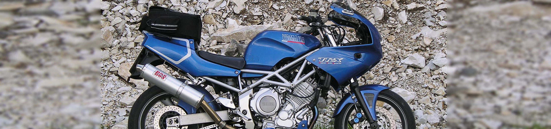 Kradblatt &#8211; Staging