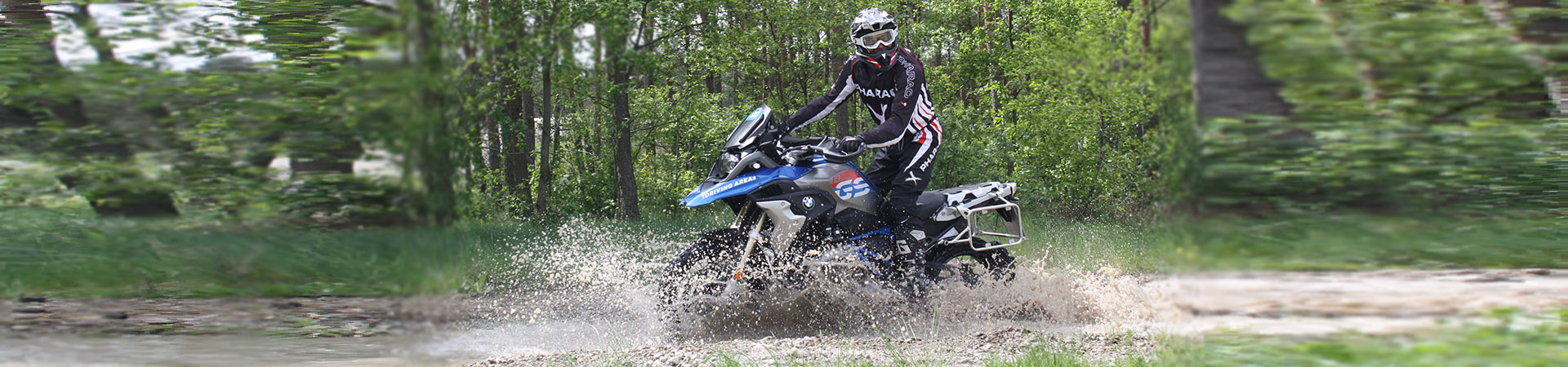 Kradblatt &#8211; Staging