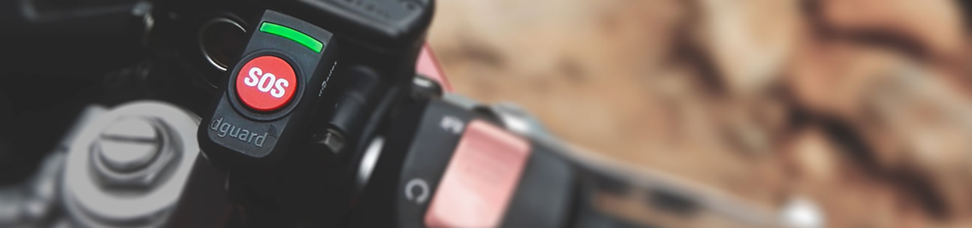 Kradblatt &#8211; Staging