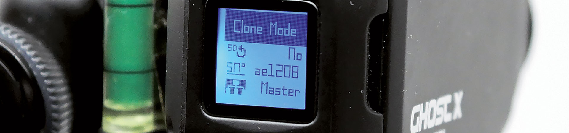 Kradblatt &#8211; Staging