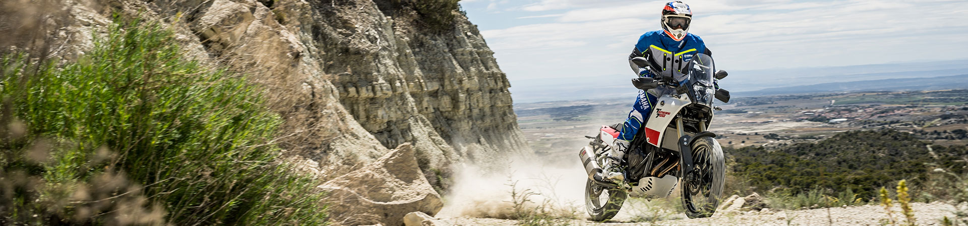 Kradblatt &#8211; Staging