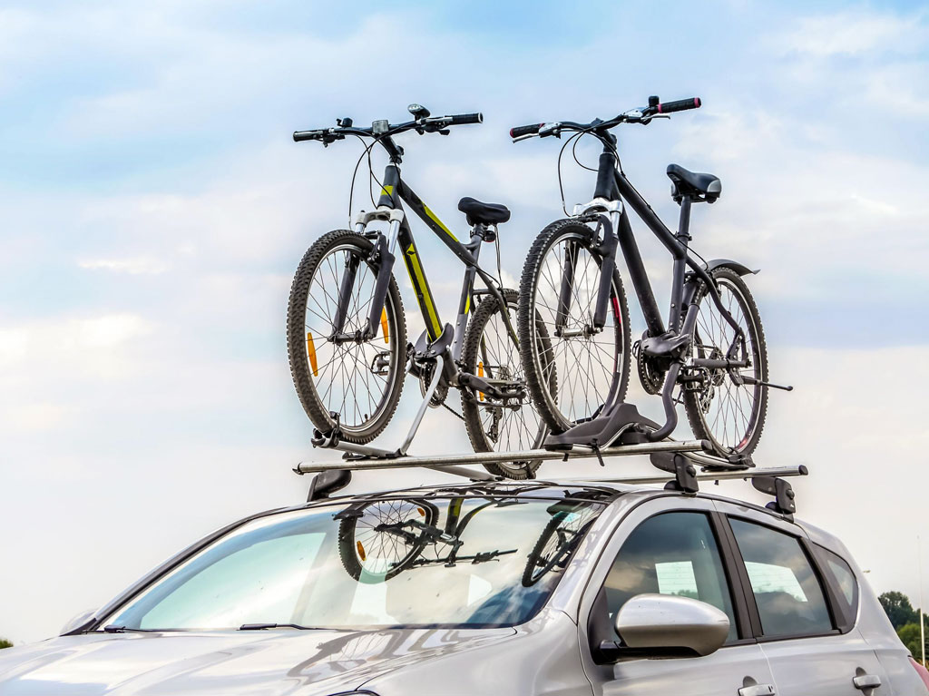 Kradblatt &#8211; Staging