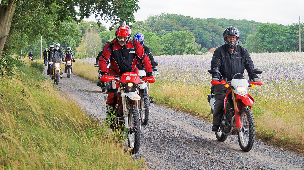 Kradblatt &#8211; Staging