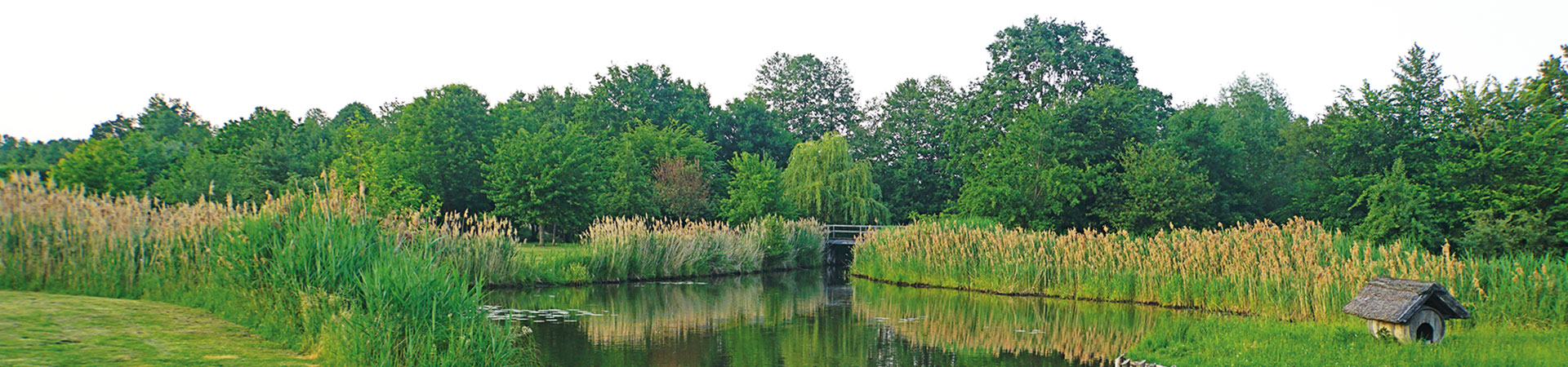 Kradblatt &#8211; Staging