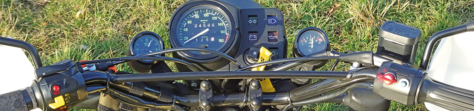 Kradblatt &#8211; Staging