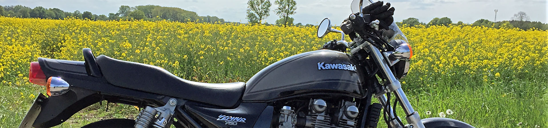 Kradblatt &#8211; Staging