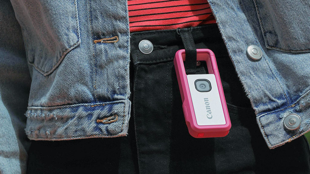 Kradblatt &#8211; Staging