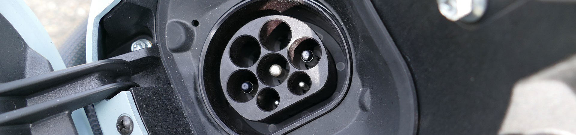 Kradblatt &#8211; Staging