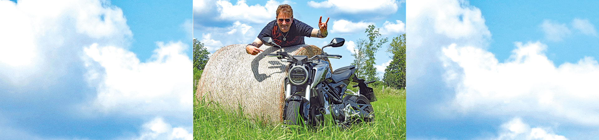 Kradblatt &#8211; Staging