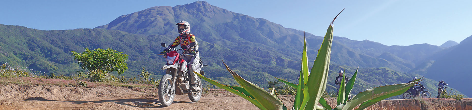 Kradblatt – Staging