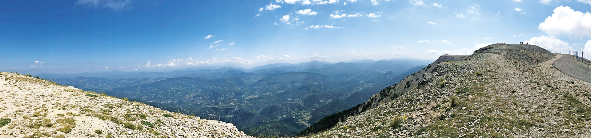 Kradblatt – Staging