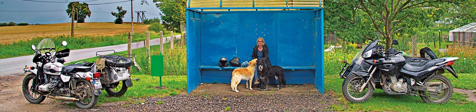 Kradblatt &#8211; Staging