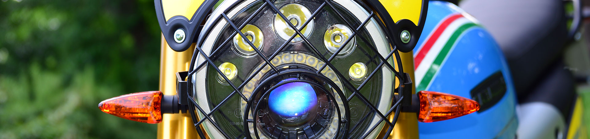 Kradblatt &#8211; Staging