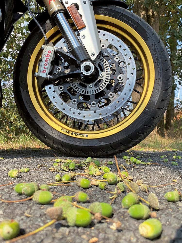 Kradblatt &#8211; Staging