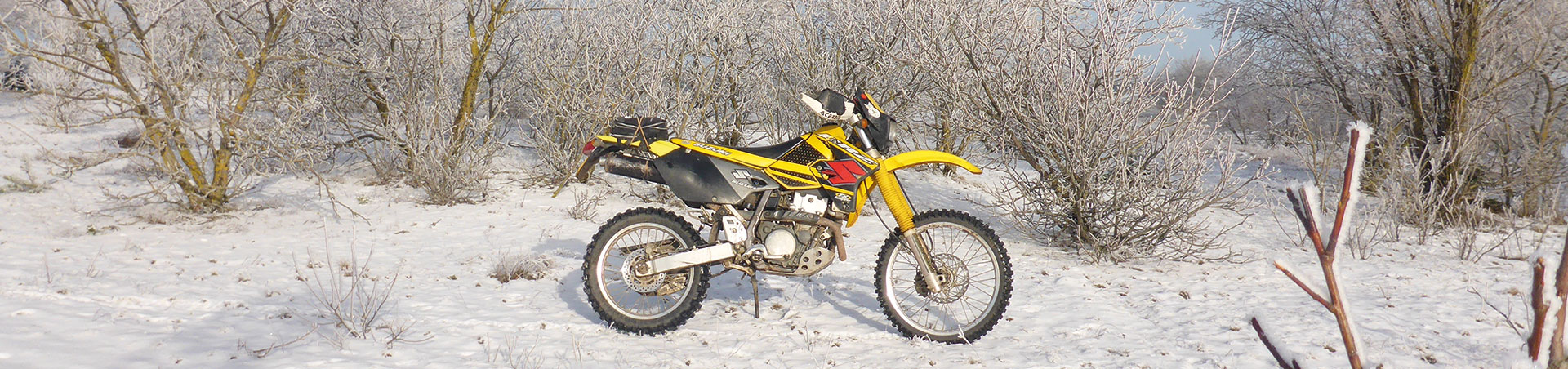 Kradblatt &#8211; Staging