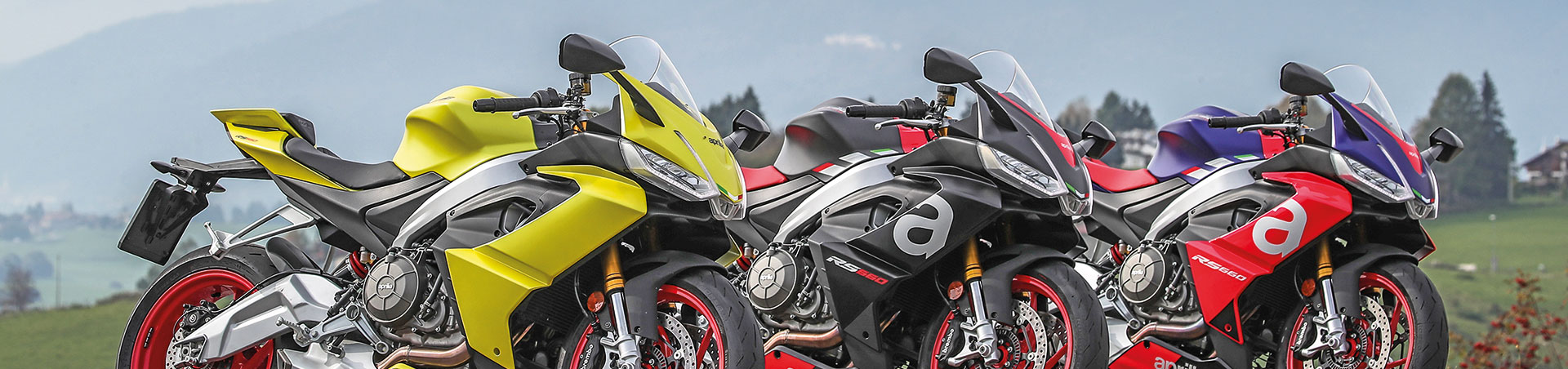 Kradblatt – Staging