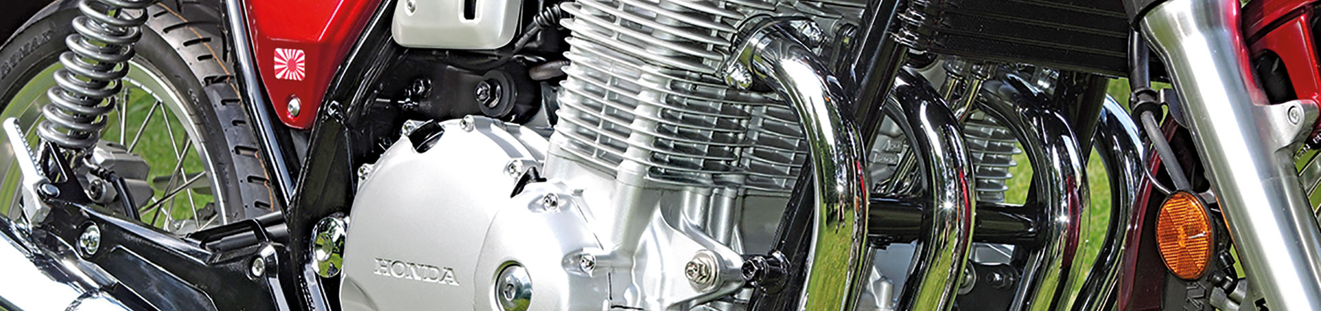 Kradblatt &#8211; Staging