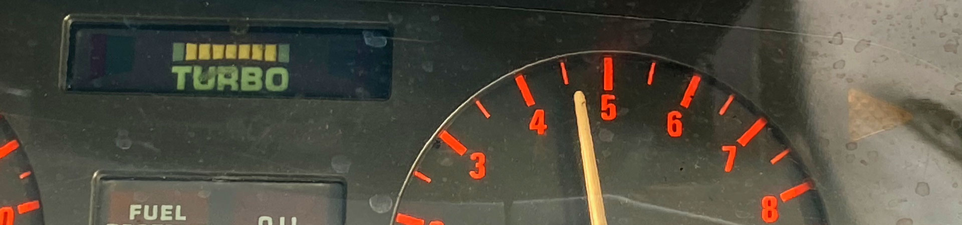 Kradblatt &#8211; Staging