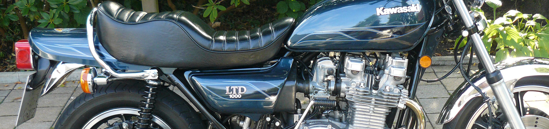 Kradblatt &#8211; Staging