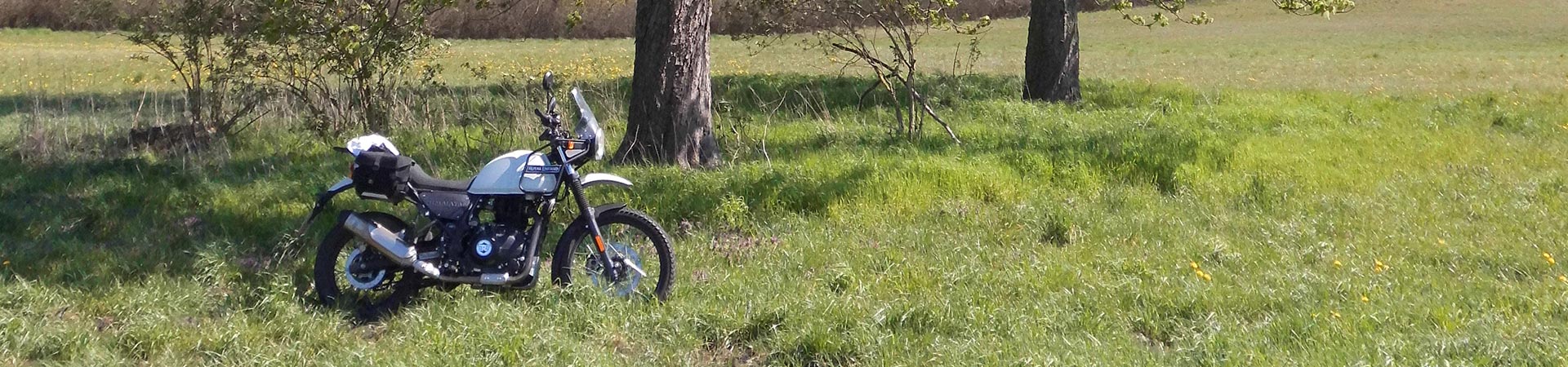 Kradblatt – Staging