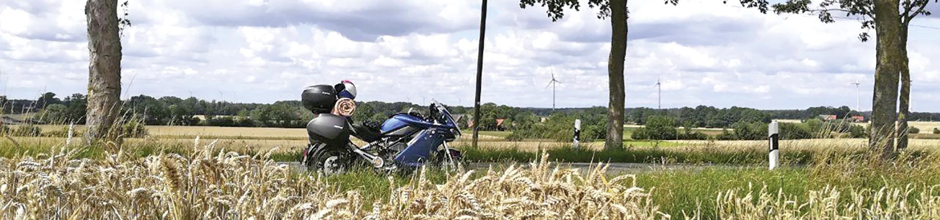 Kradblatt &#8211; Staging