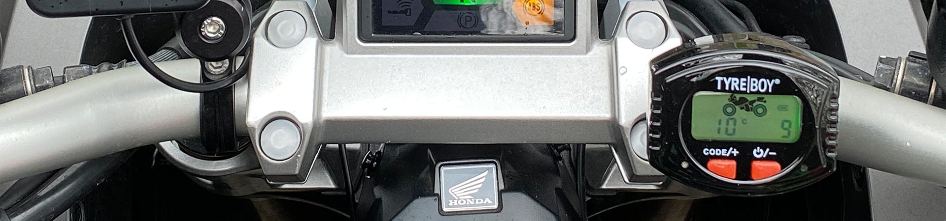 Kradblatt &#8211; Staging