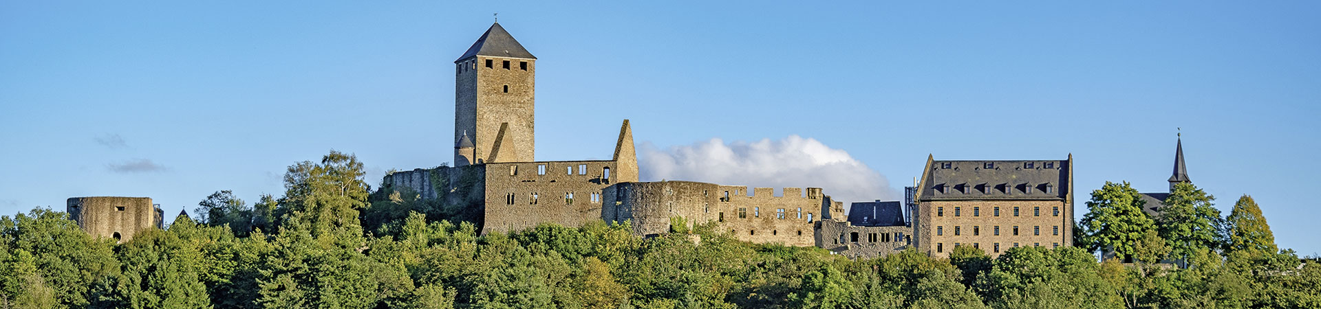 Kradblatt &#8211; Staging