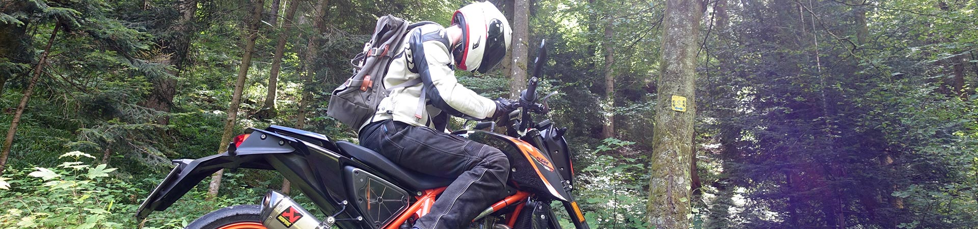 Kradblatt &#8211; Staging