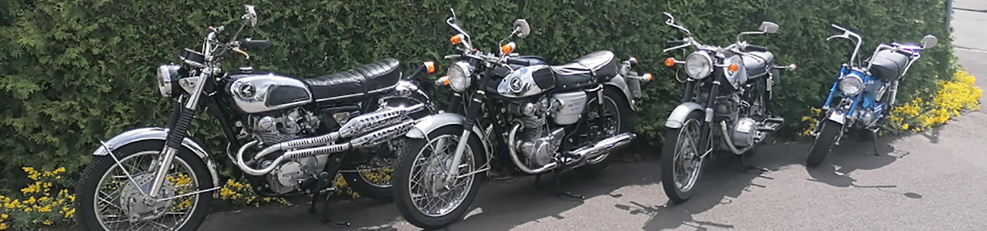 Kradblatt &#8211; Staging