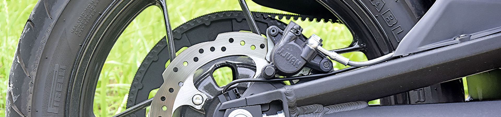 Kradblatt &#8211; Staging