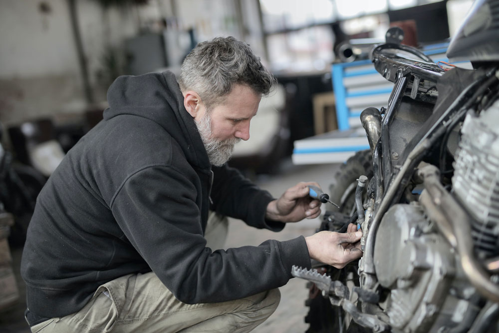 Kradblatt &#8211; Staging