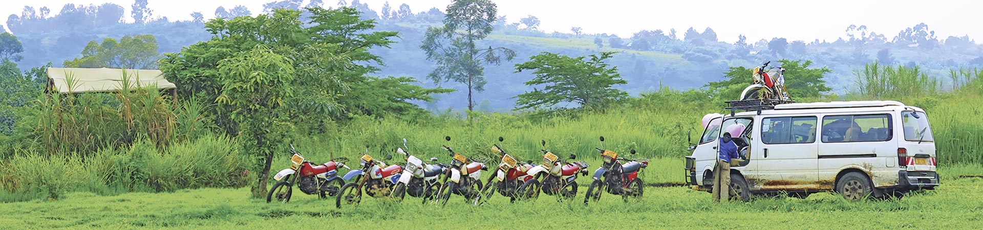 Kradblatt &#8211; Staging