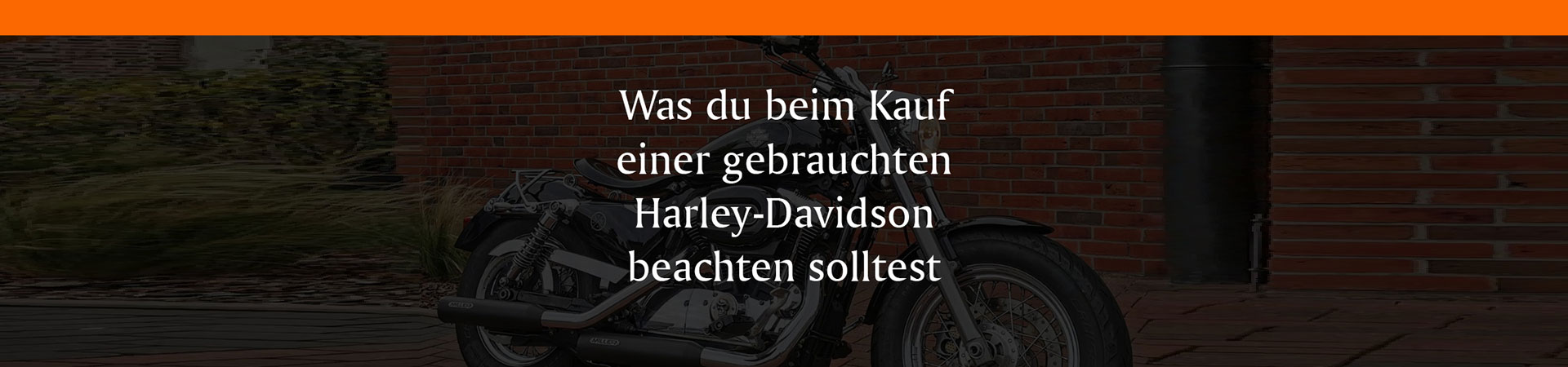 Kradblatt – Staging