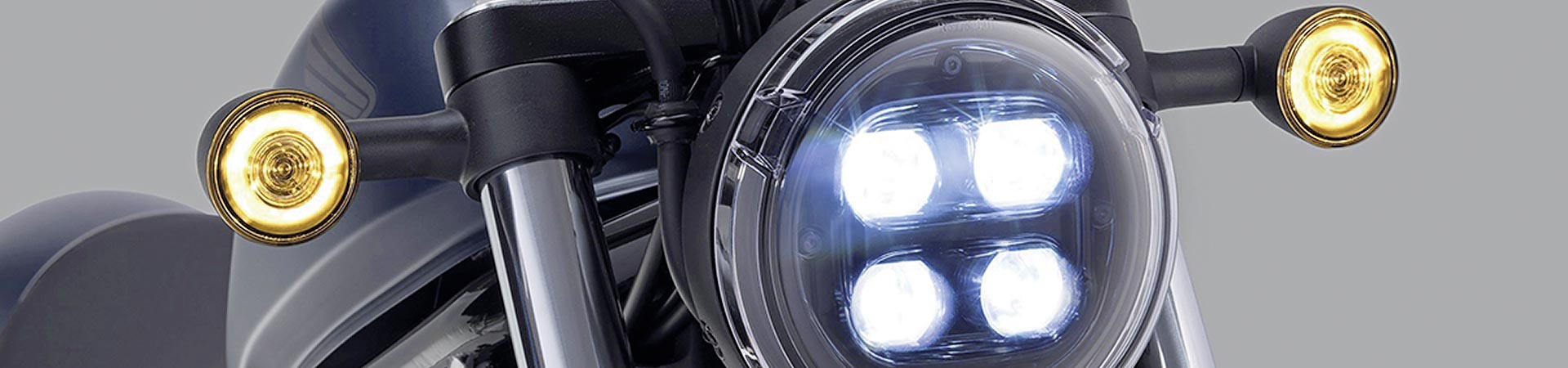 Kradblatt &#8211; Staging